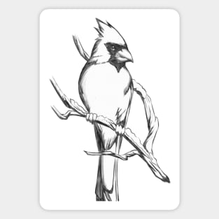 Northern Cardinal - Drawing Gift for Cardinal Lovers Magnet